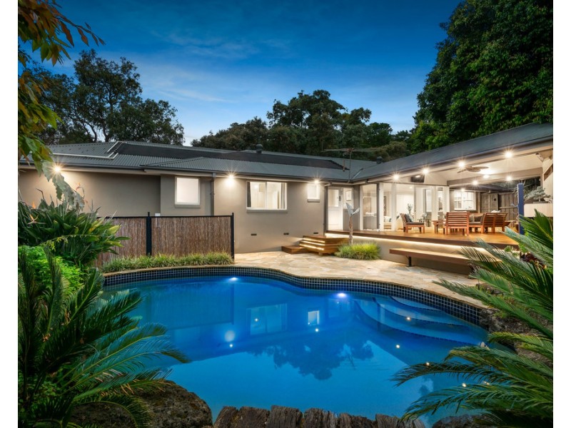 111 Woodhouse Road, Donvale VIC 3111 Ray White Wantirna Sold