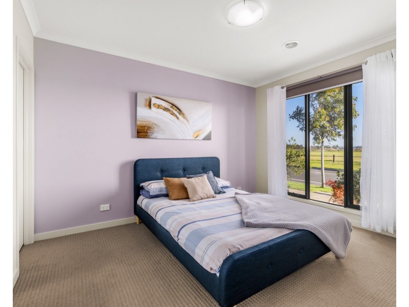 41 Springleaf Avenue, Clyde North VIC 3978