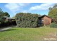 4 Carol Street, Scoresby VIC 3179