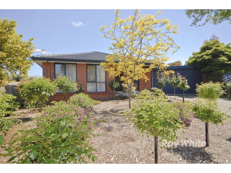 7 Edgewood Court, Wantirna South VIC 3152