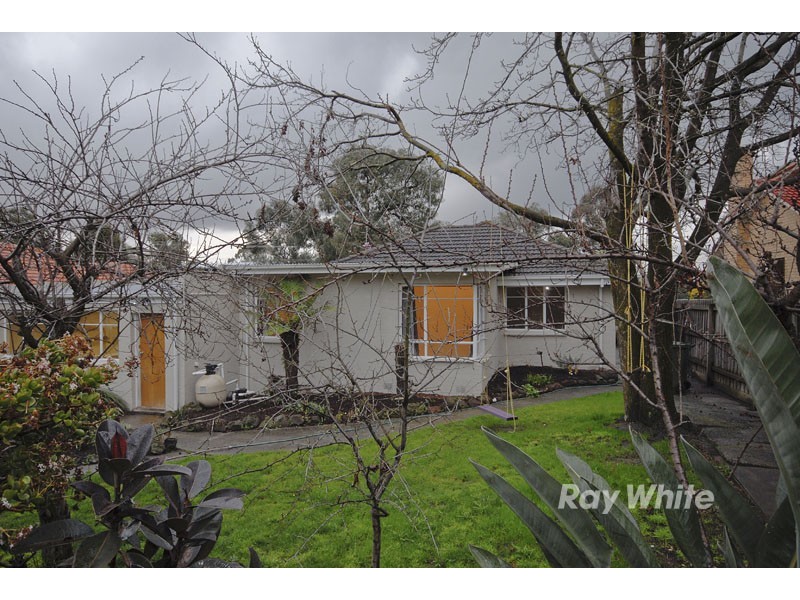 351 Scoresby Road, Ferntree Gully VIC 3156