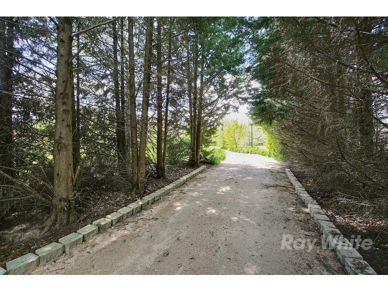 45 Torresdale Drive, Boronia VIC 3155