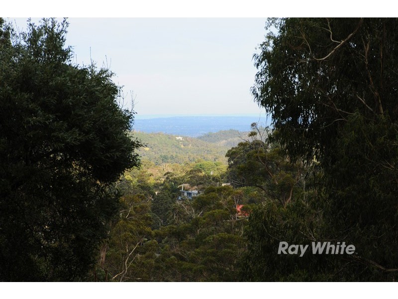 5 Forest Road, Belgrave VIC 3160