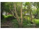 198 Monbulk Road, The Patch VIC 3792