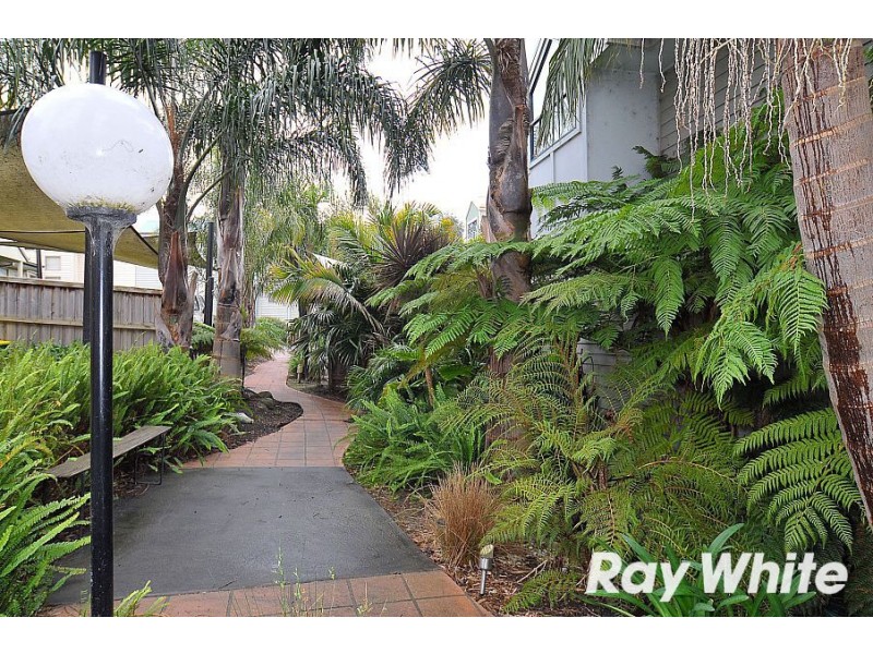 10/3 Ashley Street, Wantirna VIC 3152