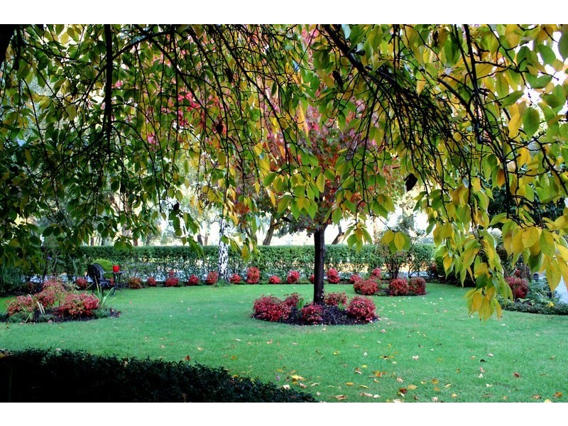 58 Wallace Road, Wantirna South VIC 3152