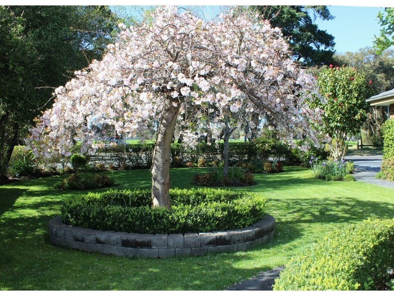 58 Wallace Road, Wantirna South VIC 3152