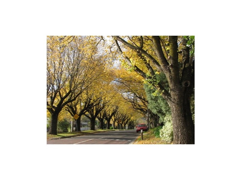 9 Beccie Court, Ferntree Gully VIC 3156