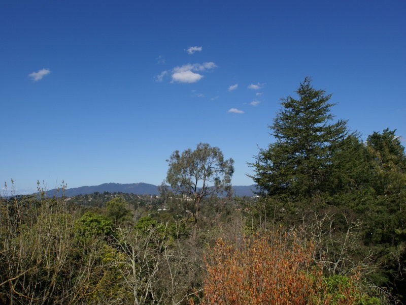 20 Wonga Road, Ringwood VIC 3134