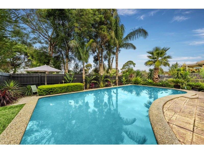 15 Saxon Avenue, Wantirna VIC 3152