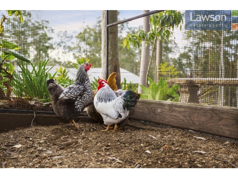 97 Matthews Valley Road, Cooranbong NSW 2265