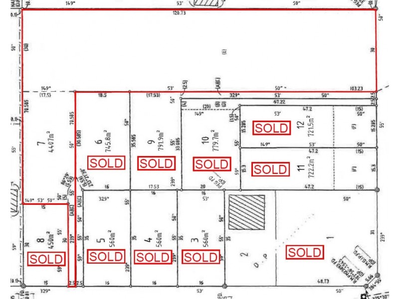 LOT 7 Terrigal Street, Morisset NSW 2264 Floorplan