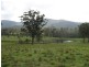 Martinsville NSW 2265