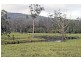 Martinsville NSW 2265