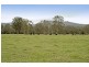 Martinsville NSW 2265
