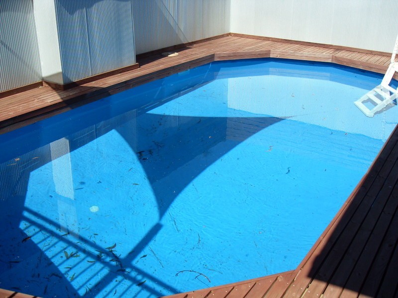 49 Queen Street, Balcolyn NSW 2264