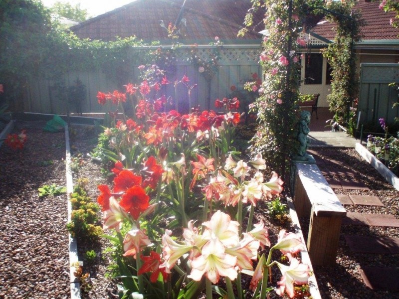 8 Jacaranda Close, Cooranbong NSW 2265