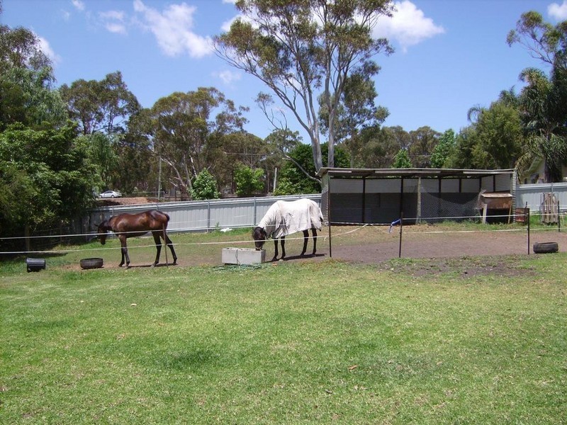 5 Catalina Road, Morisset NSW 2264