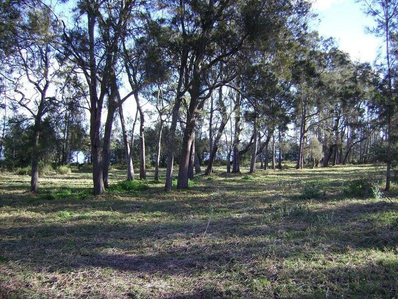 110 Stingaree Point Drive, Dora Creek NSW 2264