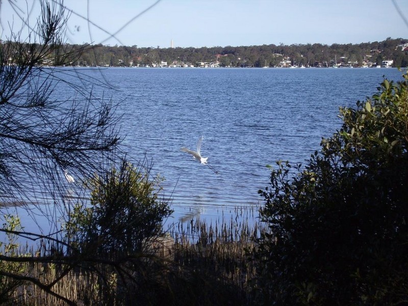 110 Stingaree Point Drive, Dora Creek NSW 2264