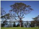 Morisset Park NSW 2264