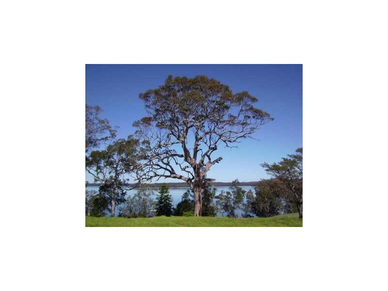 Morisset Park NSW 2264