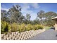 19 Scribbly Gum Crescent, Cooranbong NSW 2265