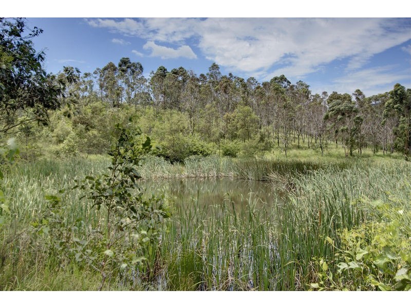 403 Sandy Creek Road, Mount Vincent NSW 2323