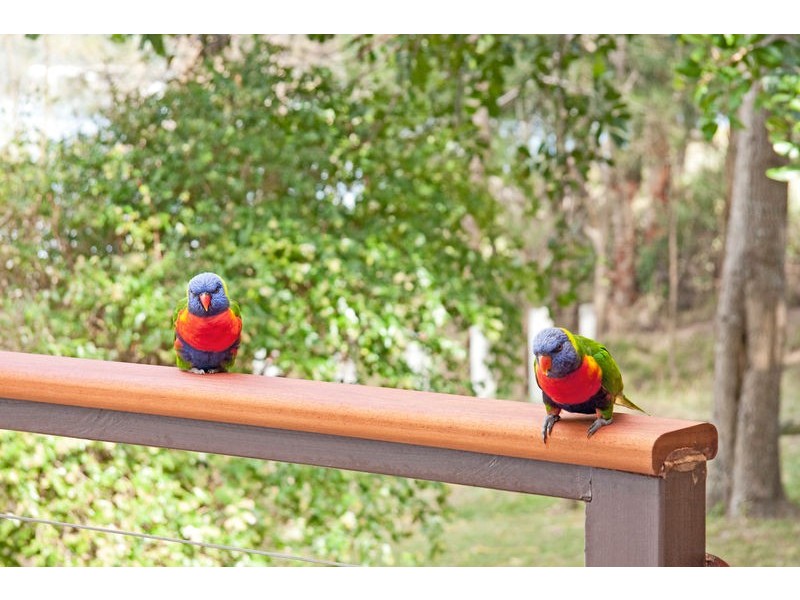 2 Bardon Lane, Brightwaters NSW 2264