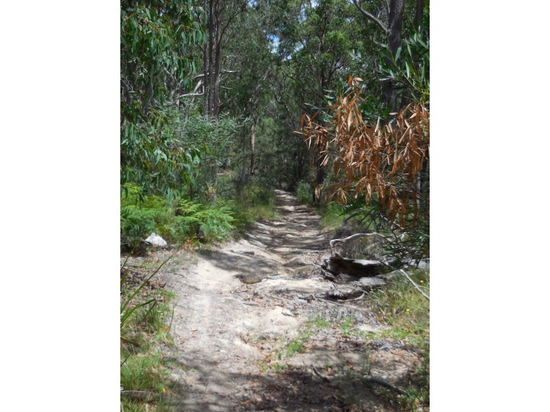 68A Buttaba Road, Brightwaters NSW 2264