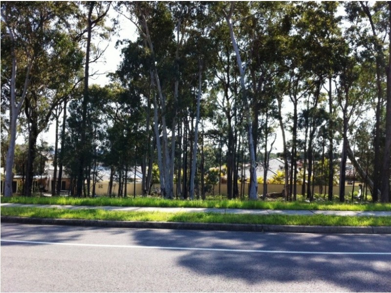 118 Waikiki Road, Bonnells Bay NSW 2264