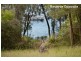 14B Wymeera Circuit, Wyee Point NSW 2259