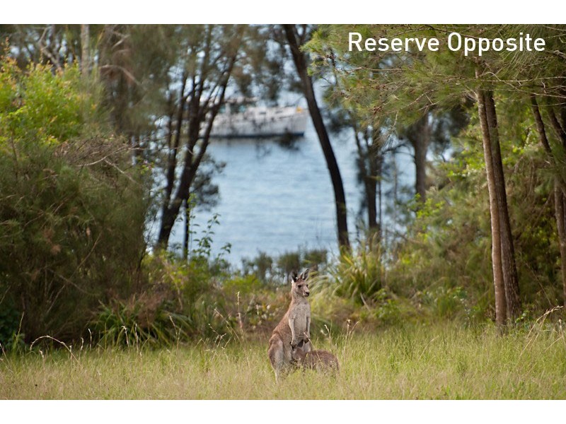 14B Wymeera Circuit, Wyee Point NSW 2259