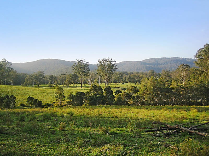 197 Owens Road, Martinsville NSW 2265