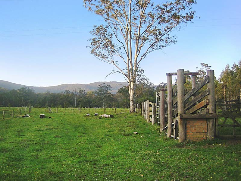 197 Owens Road, Martinsville NSW 2265