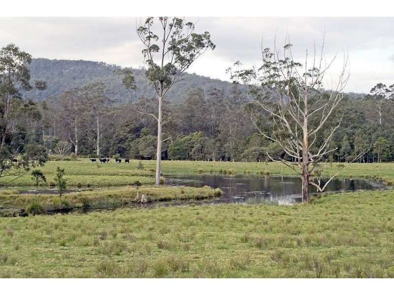 197 Owens Road, Martinsville NSW 2265