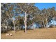 3 Frost Road, Cooranbong NSW 2265