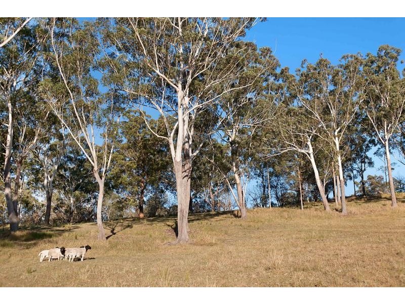 3 Frost Road, Cooranbong NSW 2265