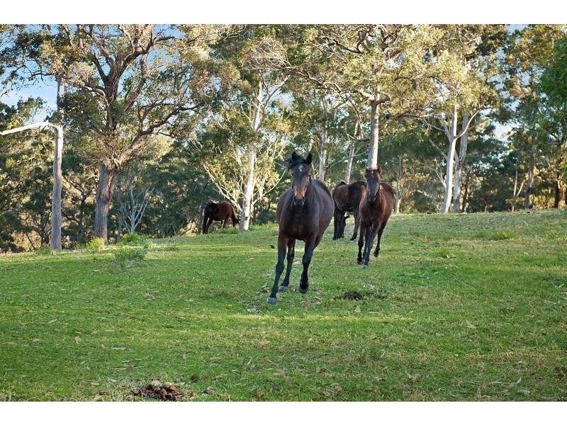 3 Frost Road, Cooranbong NSW 2265