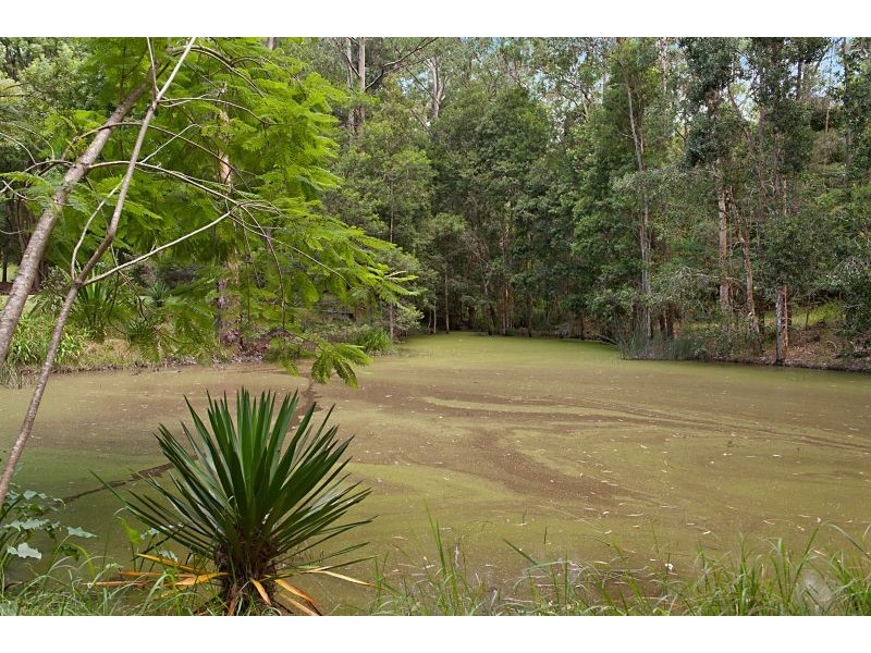 457 Martinsville Road, Martinsville NSW 2265