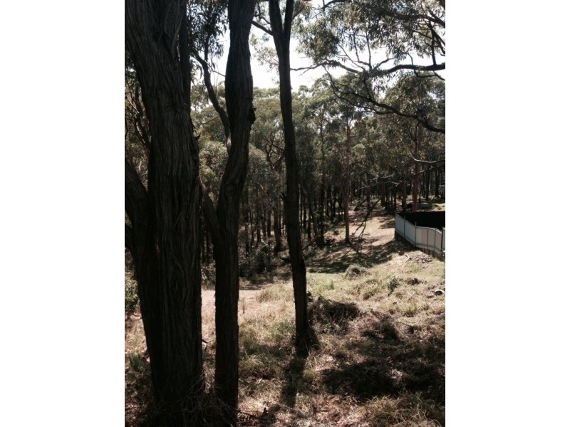 45 Cessnock Road, Sunshine NSW 2264