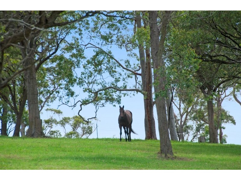 47 Russell Road, Morisset NSW 2264