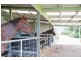 47 Russell Road, Morisset NSW 2264