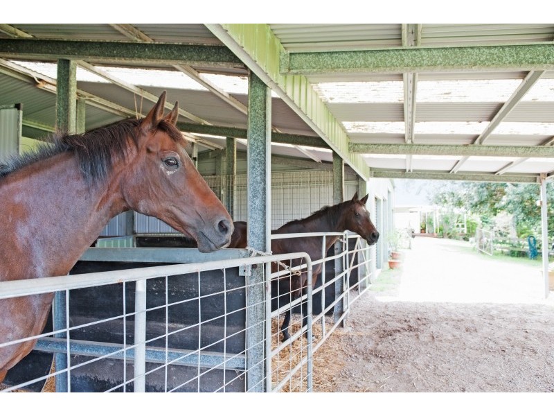 47 Russell Road, Morisset NSW 2264