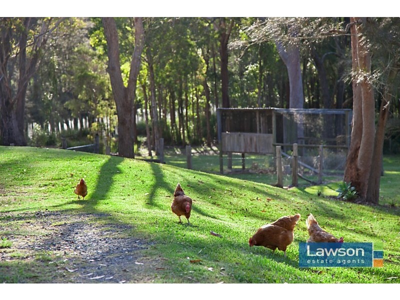 244 Currans Road, Cooranbong NSW 2265