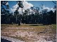 17 Cupania Ct, Poona QLD 4650