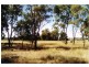 Binnaway NSW 2395