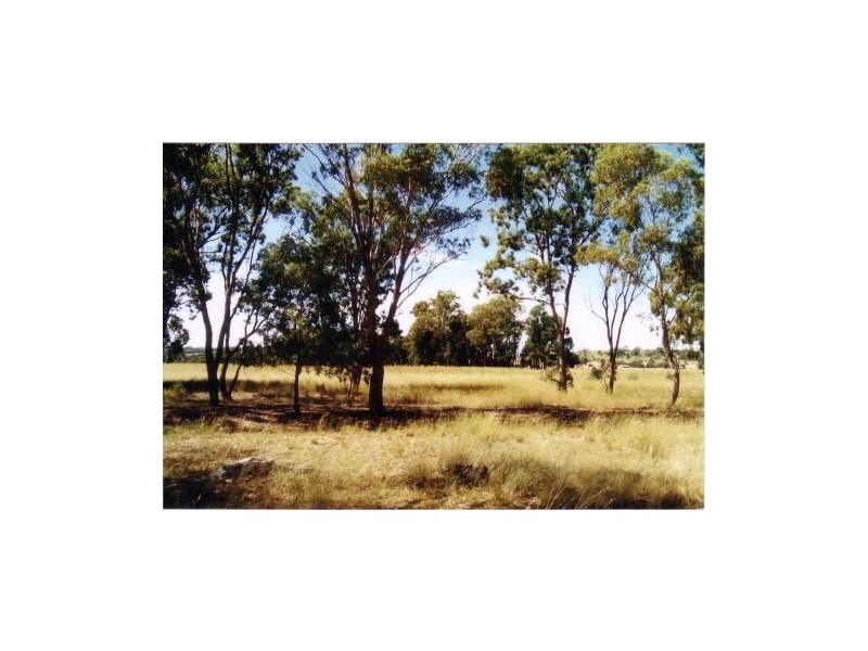Binnaway NSW 2395
