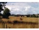 Binnaway NSW 2395