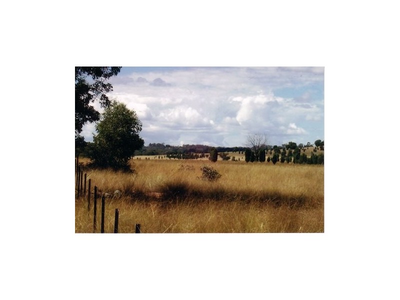Binnaway NSW 2395